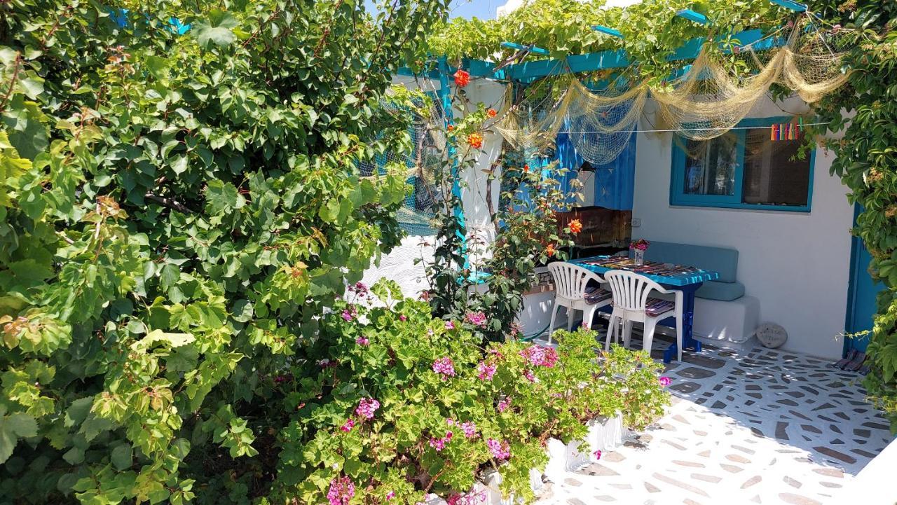 Azzurro Naxos, Azzurro I - Azzurro II - Azzurro III Lejlighed Naxos City Eksteriør billede