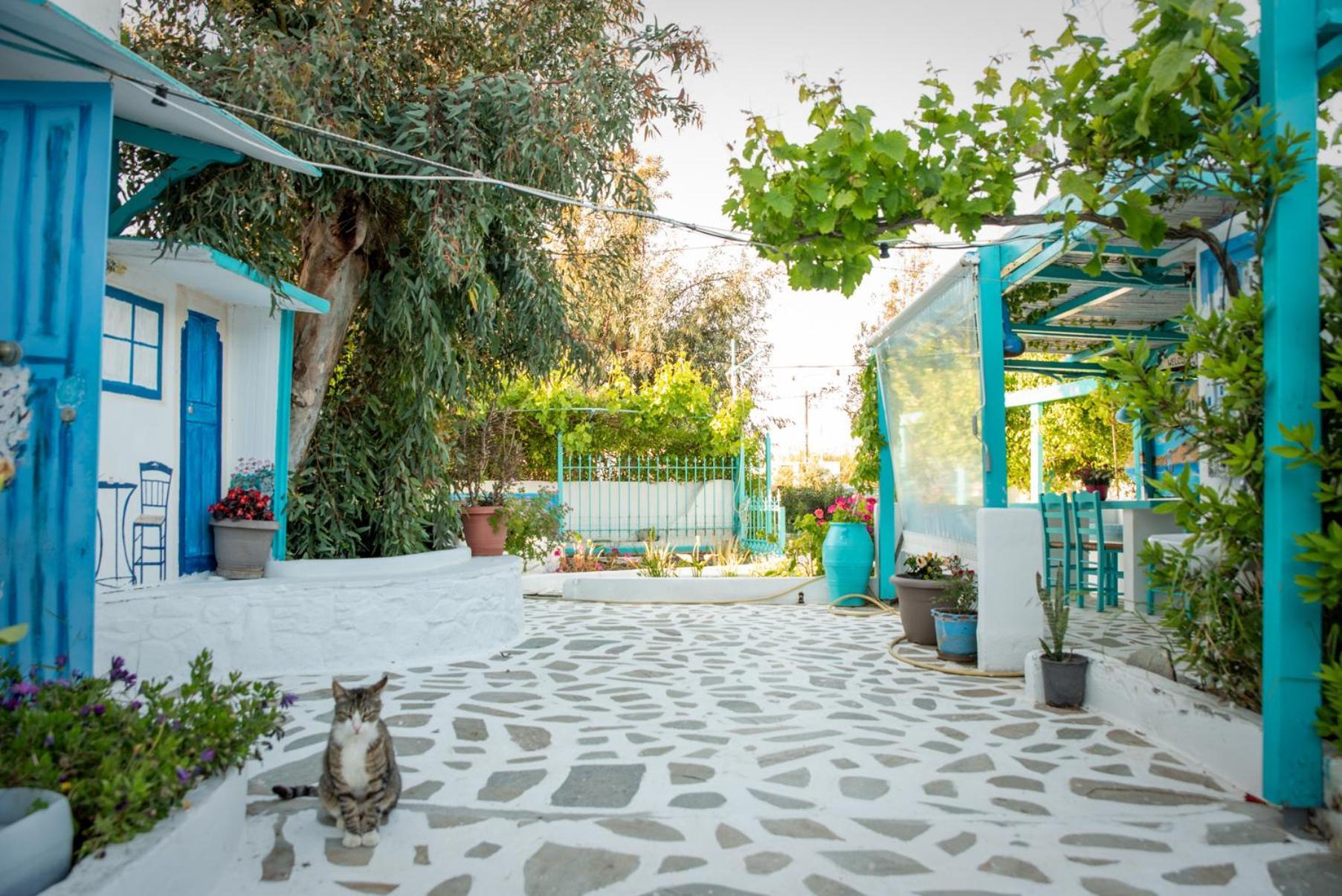 Azzurro Naxos, Azzurro I - Azzurro II - Azzurro III Lejlighed Naxos City Eksteriør billede